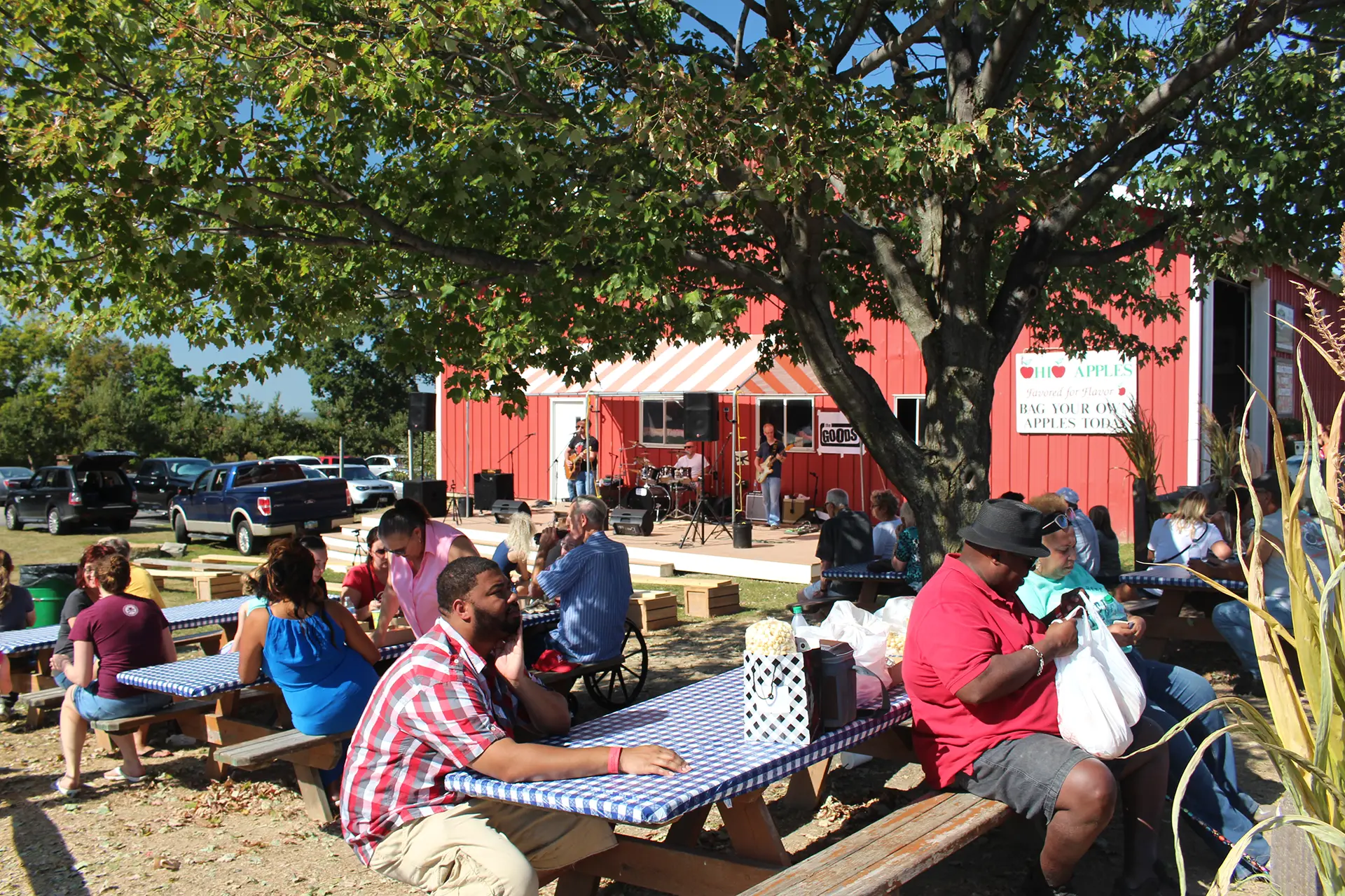 Johnny Appleseed Festival